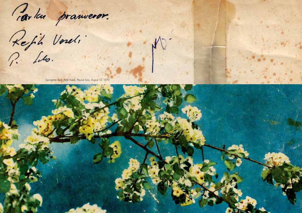 Anouck Durand: Eternal Friendship