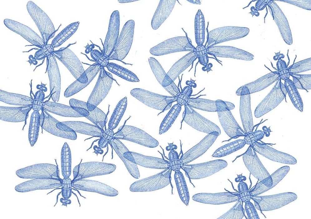 Vincent Sardon: The Stampographer