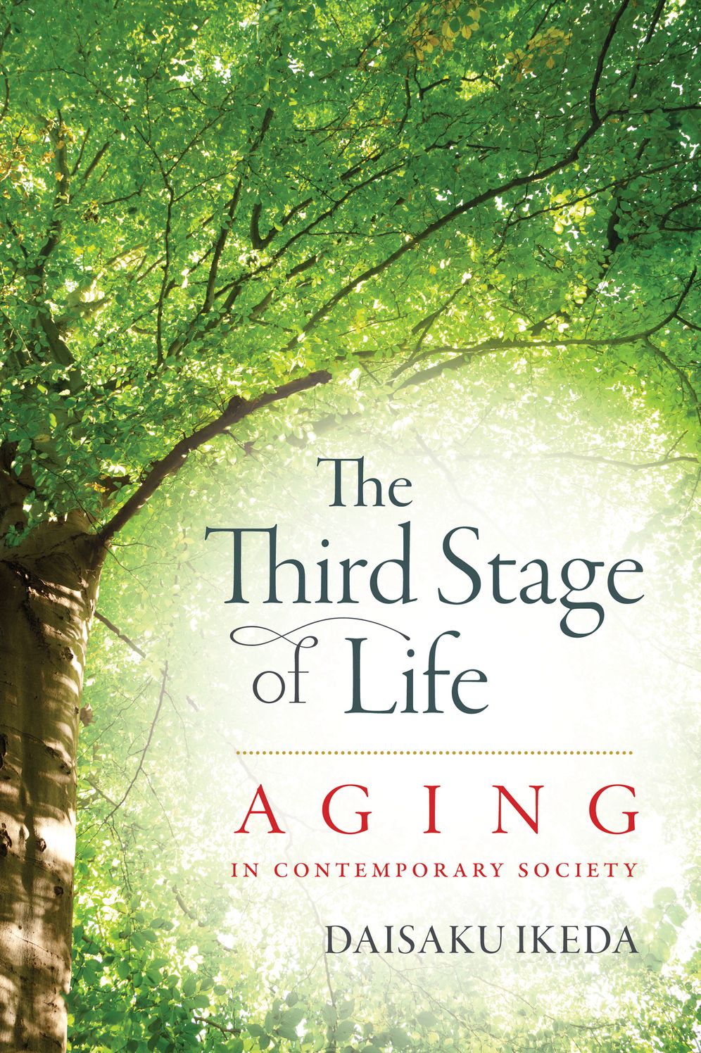 Third Stage of Life: Aging in Contemporary Society