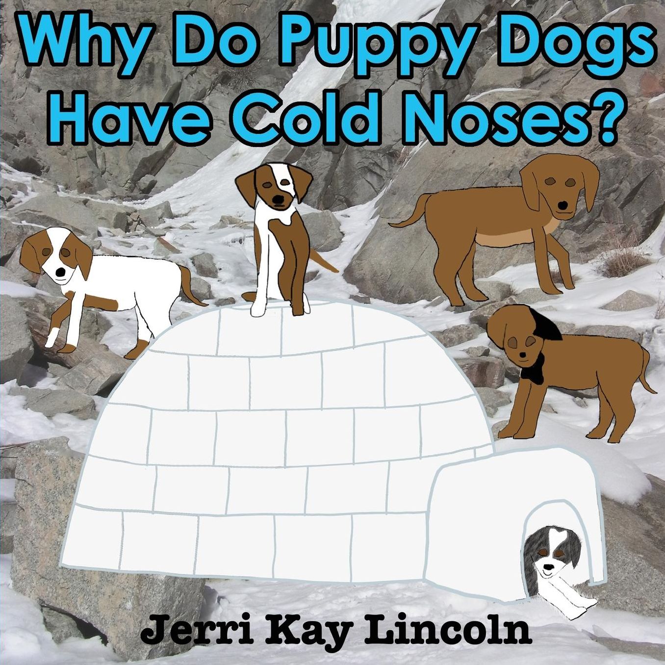 Why Do Puppy Dogs Have Cold Noses?