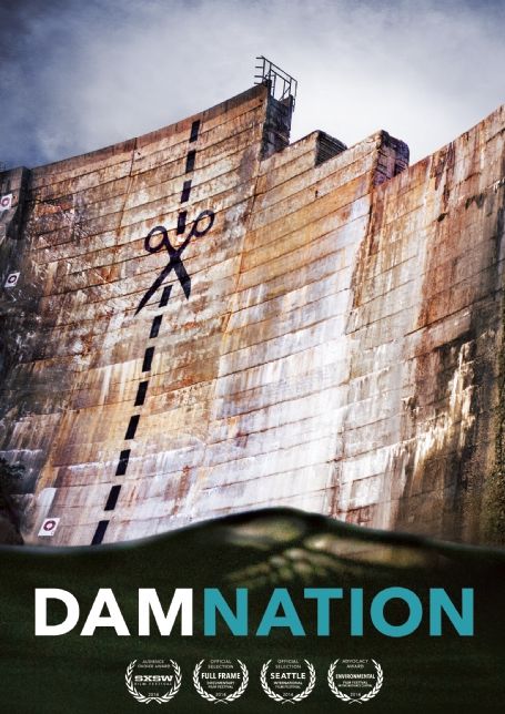 DamNation