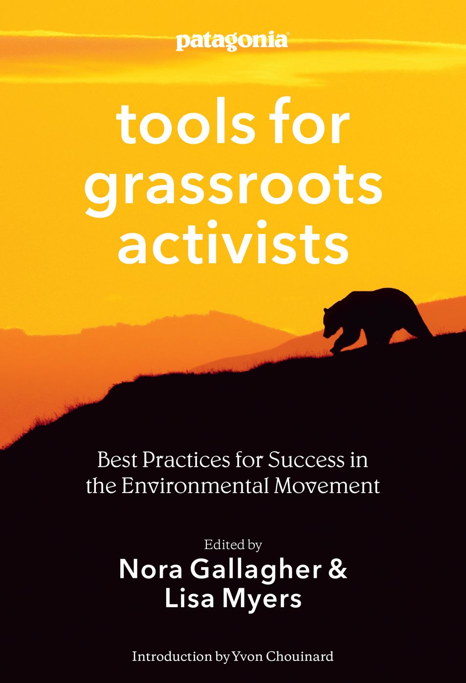 Patagonia Tools for Grassroots Activists: Best Practices for Success in the Environmental Movement
