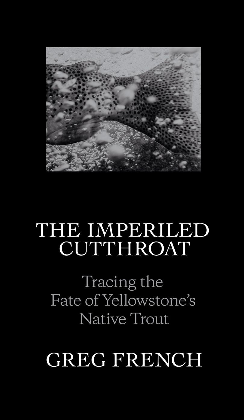 The Imperiled Cutthroat: Tracing the Fate of Yellowstone's Native Trout