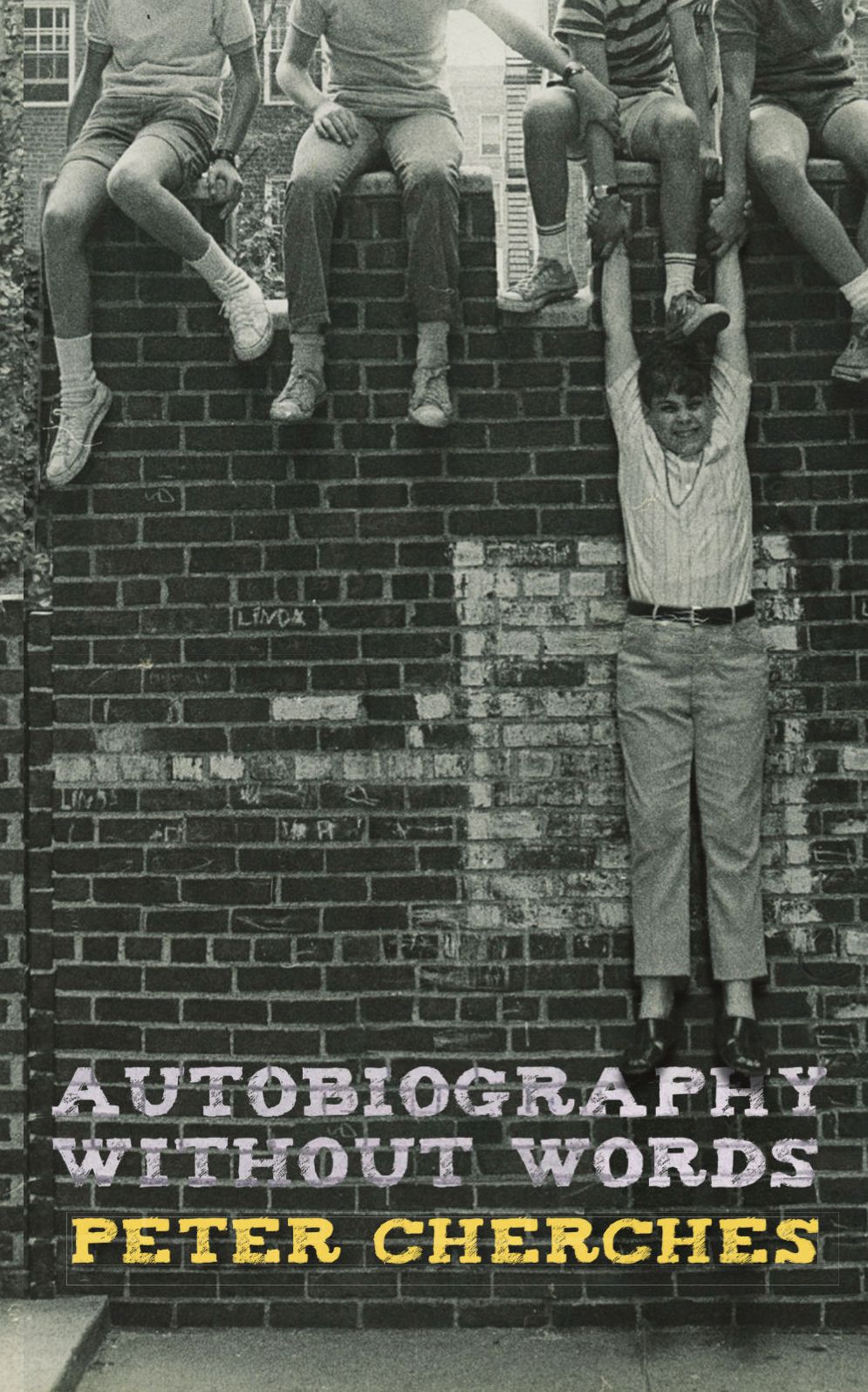 Autobiography Without Words
