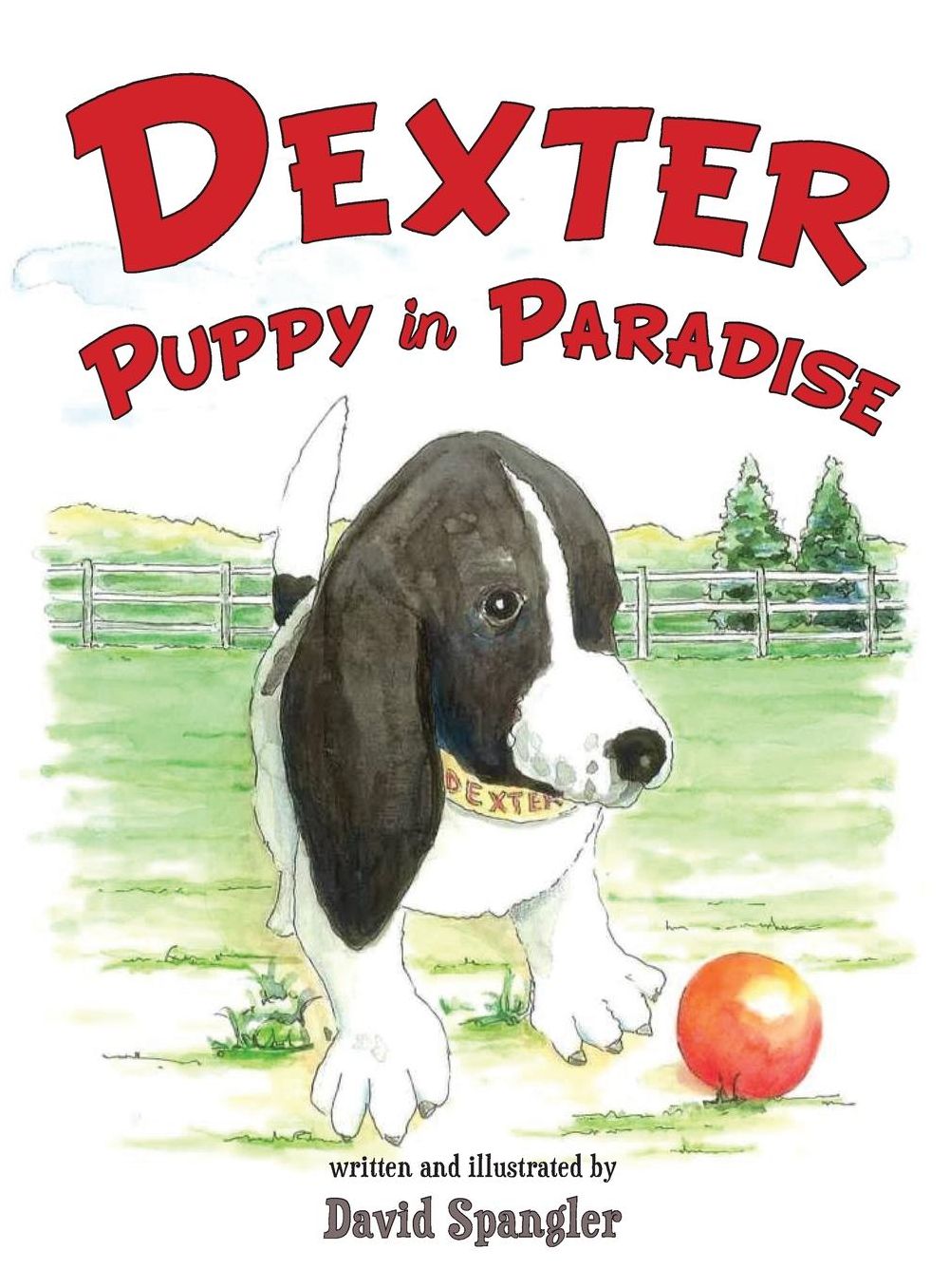 DEXTER, PUPPY IN PARADISE