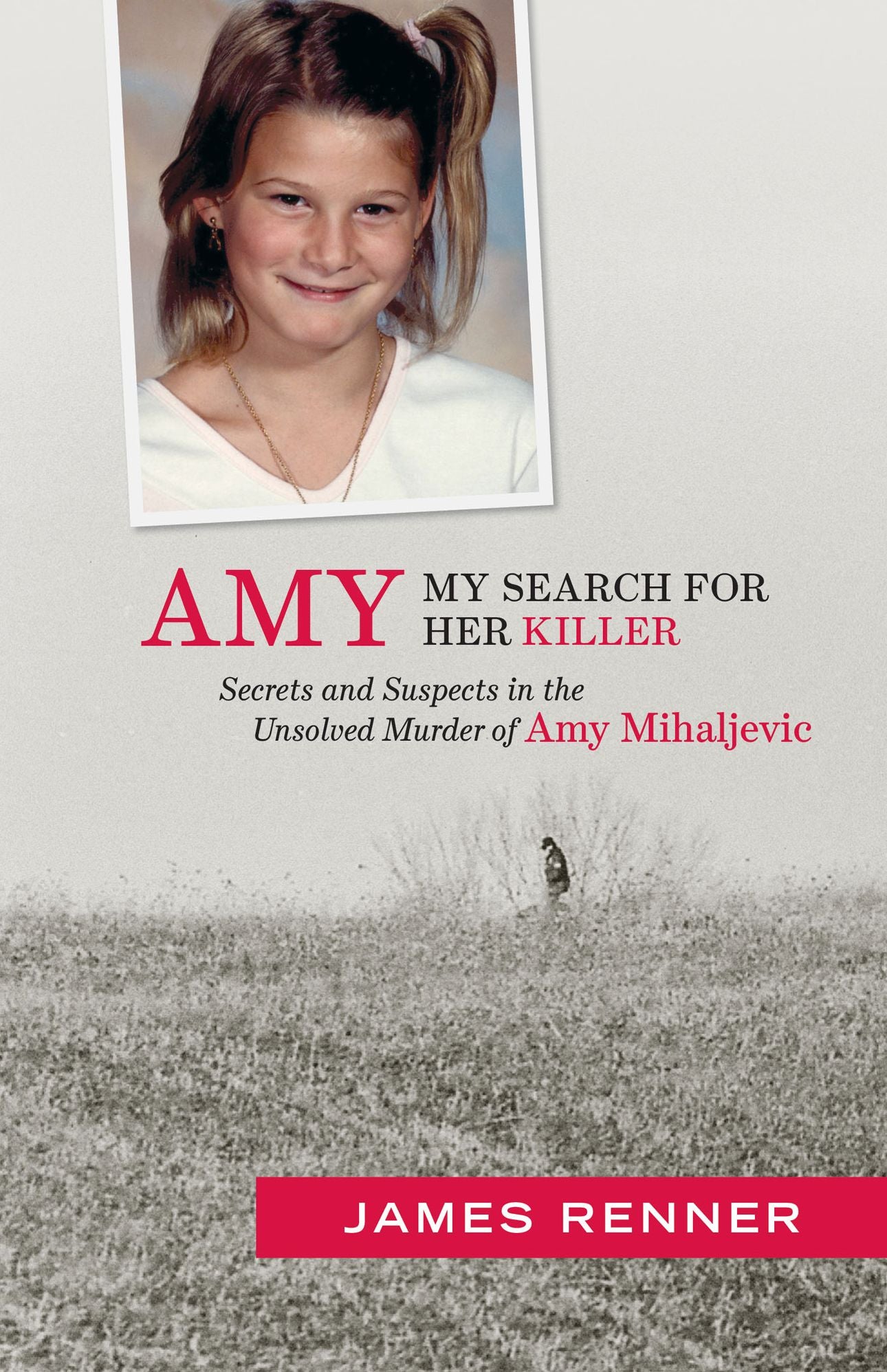 Amy: My Search for Her Killer: Secrets and Suspects in the Unsolved Murder of Amy Mihaljevic