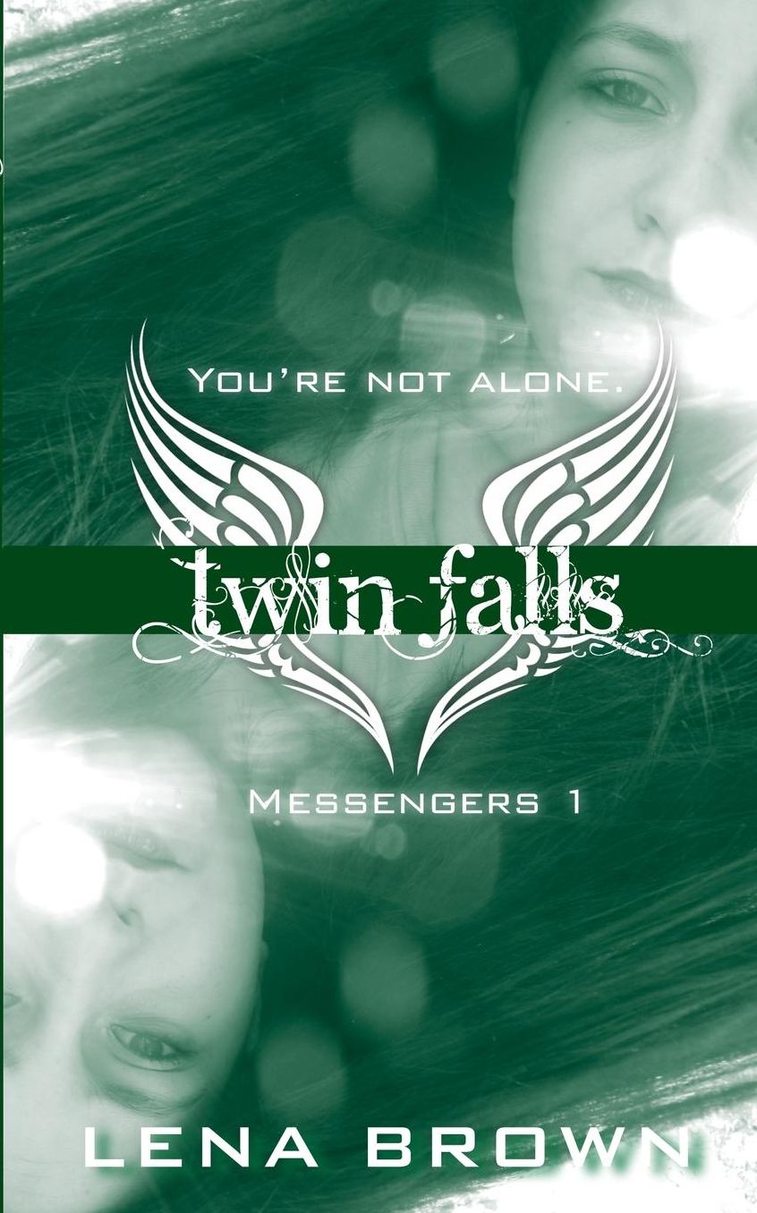 Twin Falls: A Novel