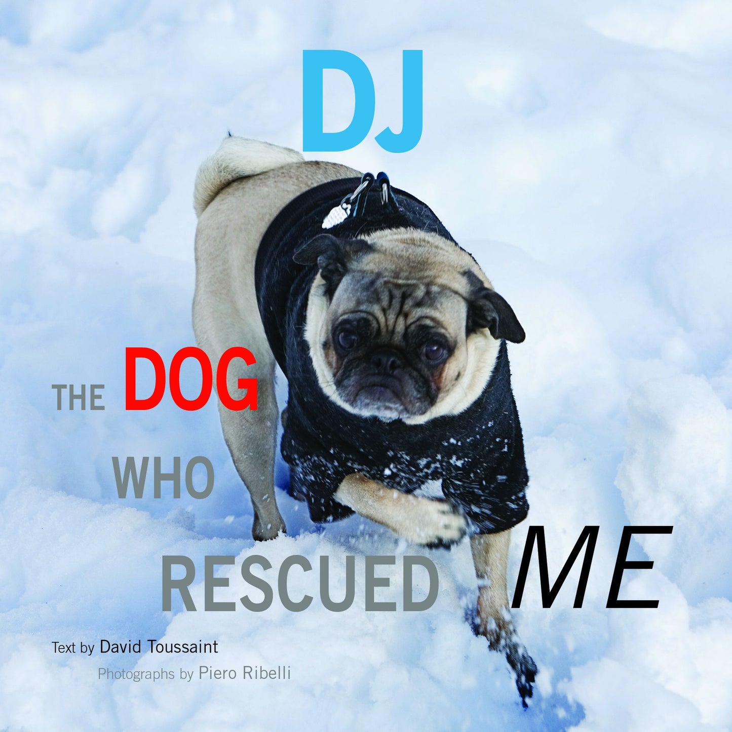 DJ: The Dog Who Rescued Me
