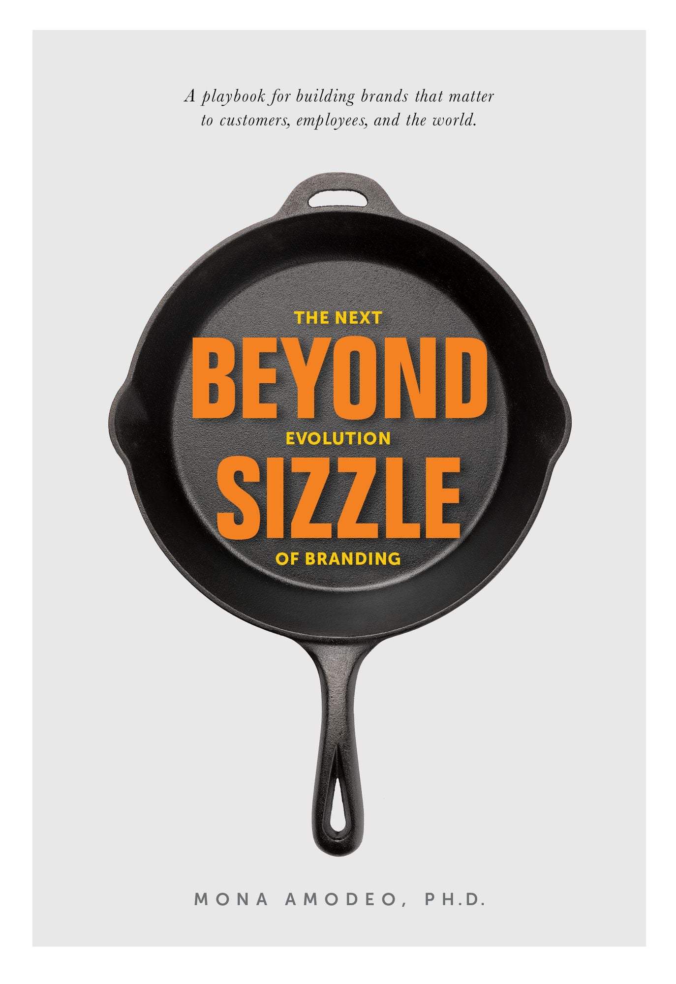 Beyond Sizzle: The Next Evolution of Branding