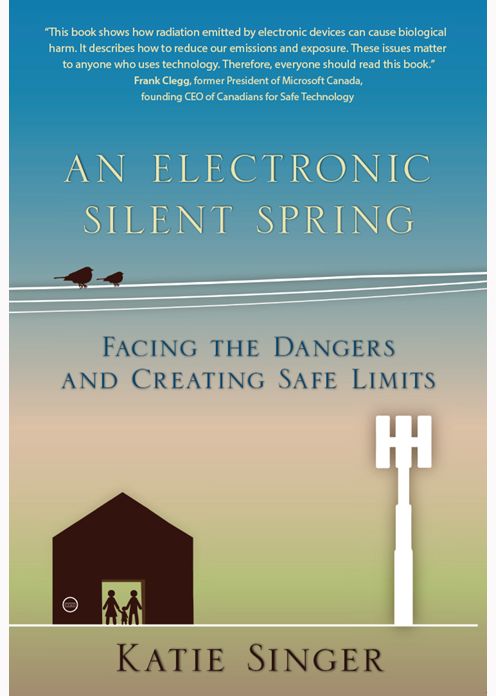 The Electronic Silent Spring: Facing the Dangers and Creating Safe Limits