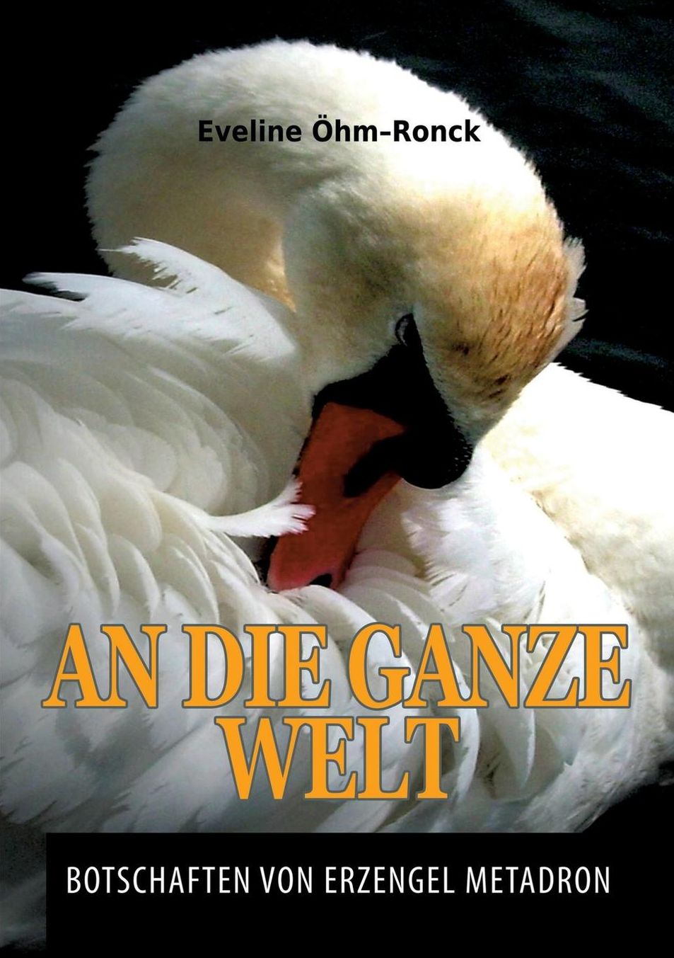 AN DIE GANZE WELT