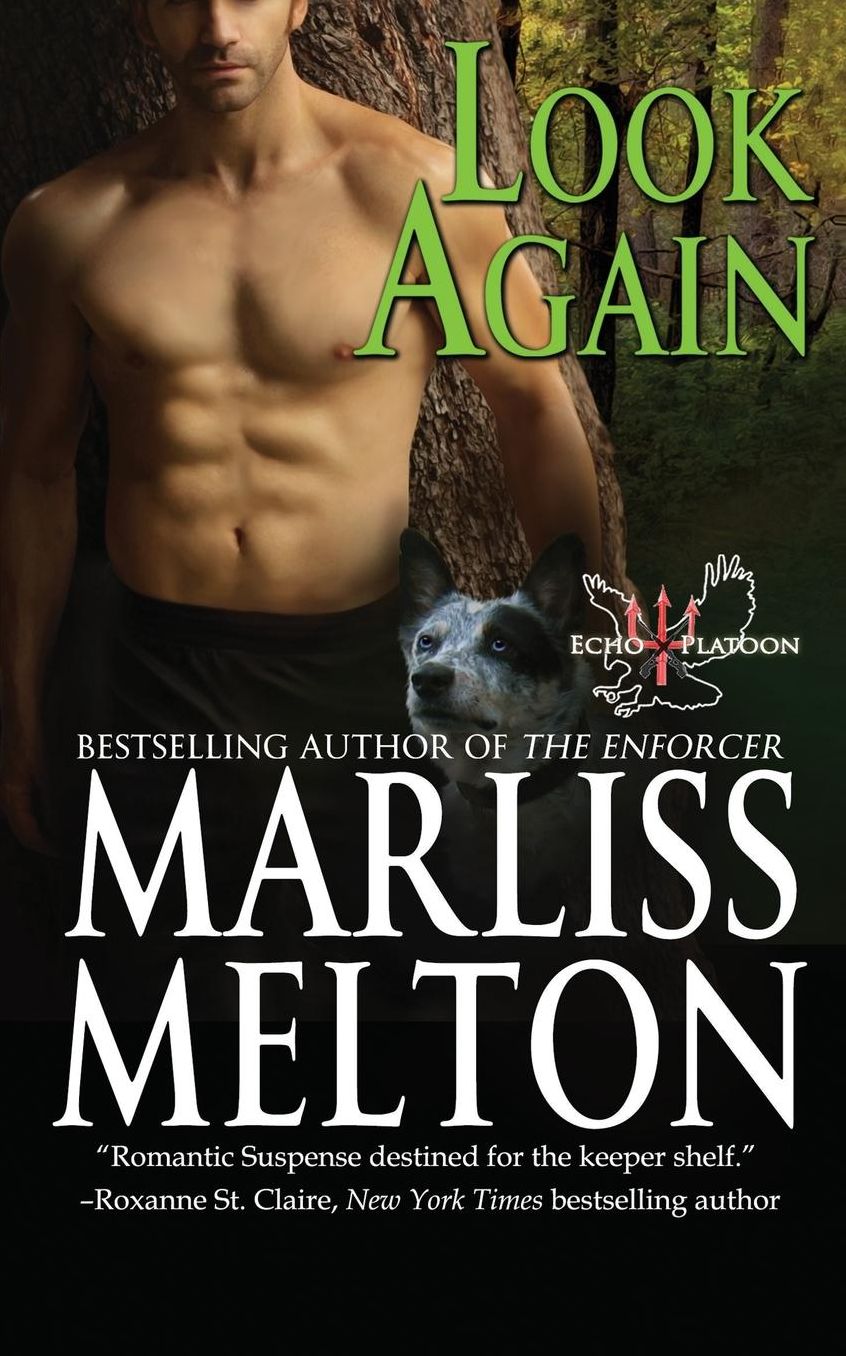 Look Again (Echo Platoon Novella)