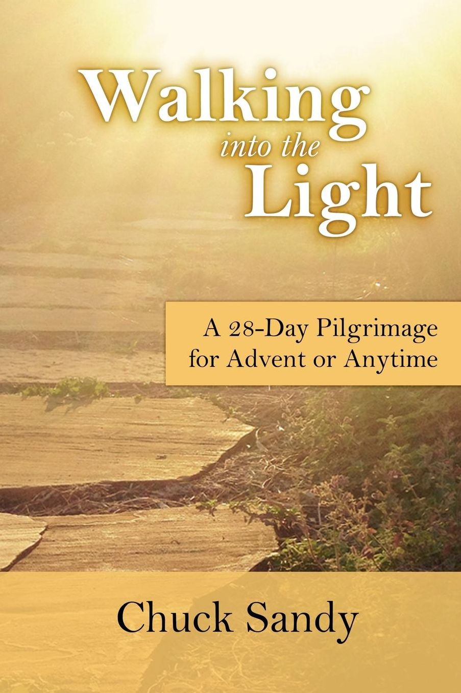 Walking into the Light: A 28-Day Pilgrimage for Advent or Anytime (color edition)