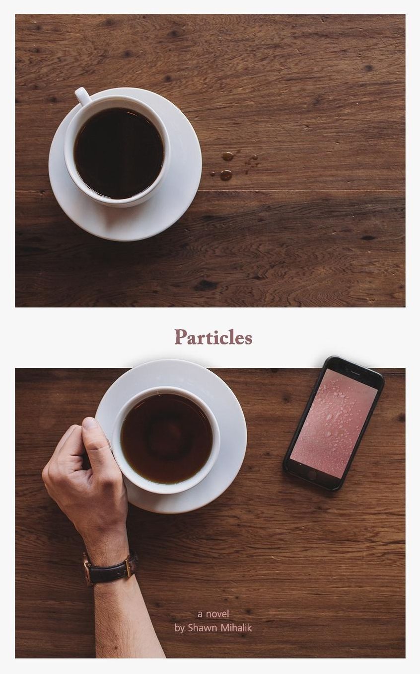 Particles: A Novel