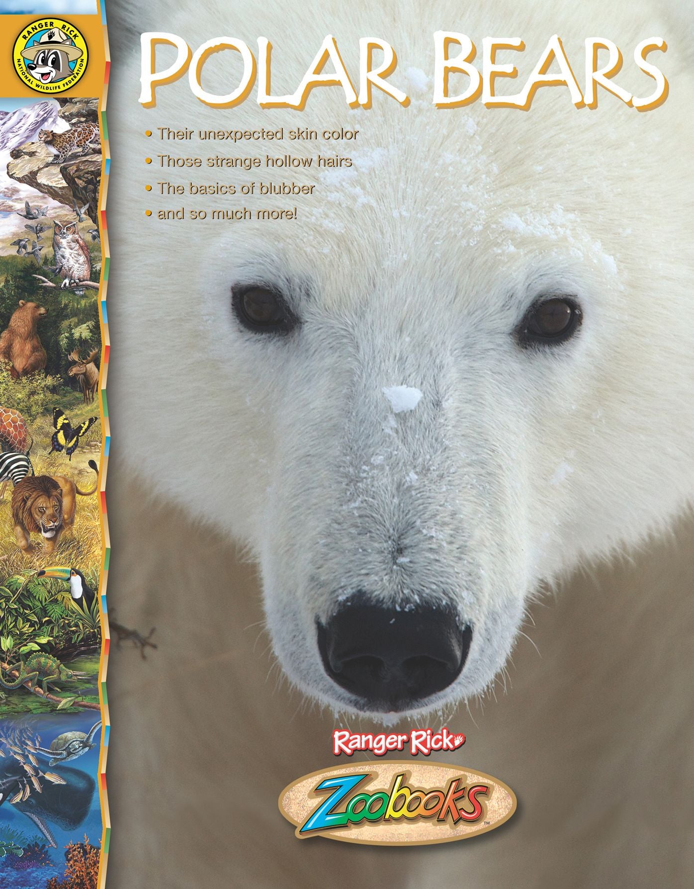 Polar Bears