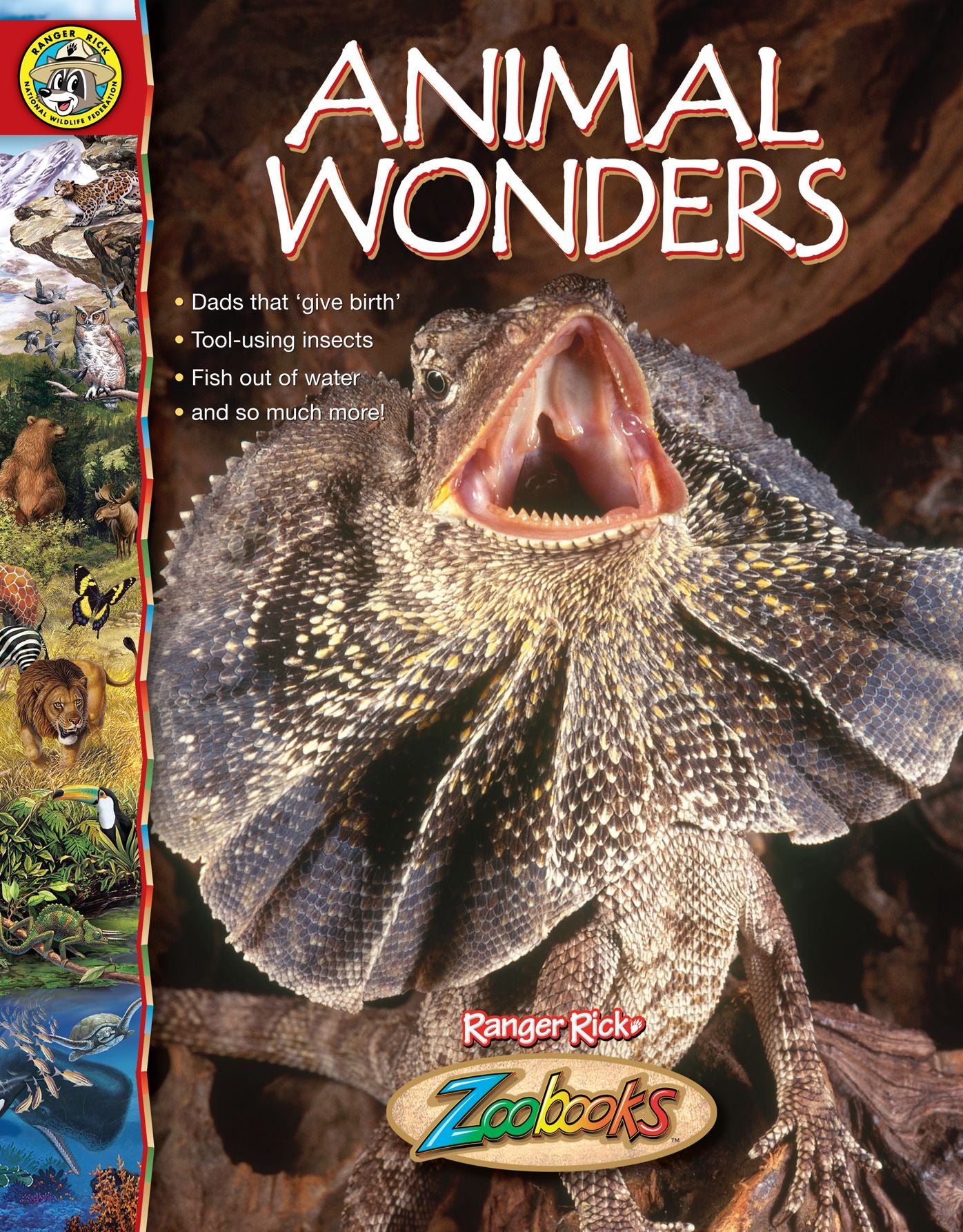 Animal Wonders