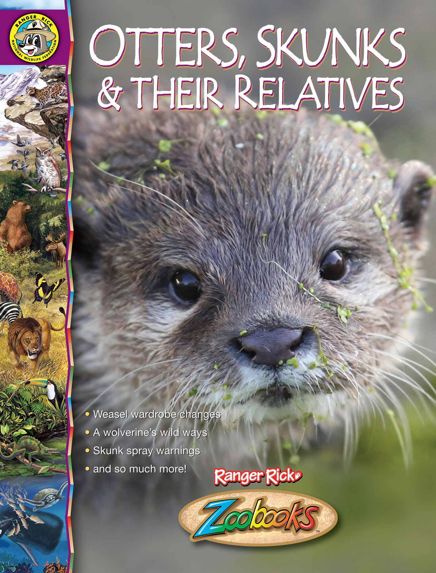Otters, Skunks & Their Relatives