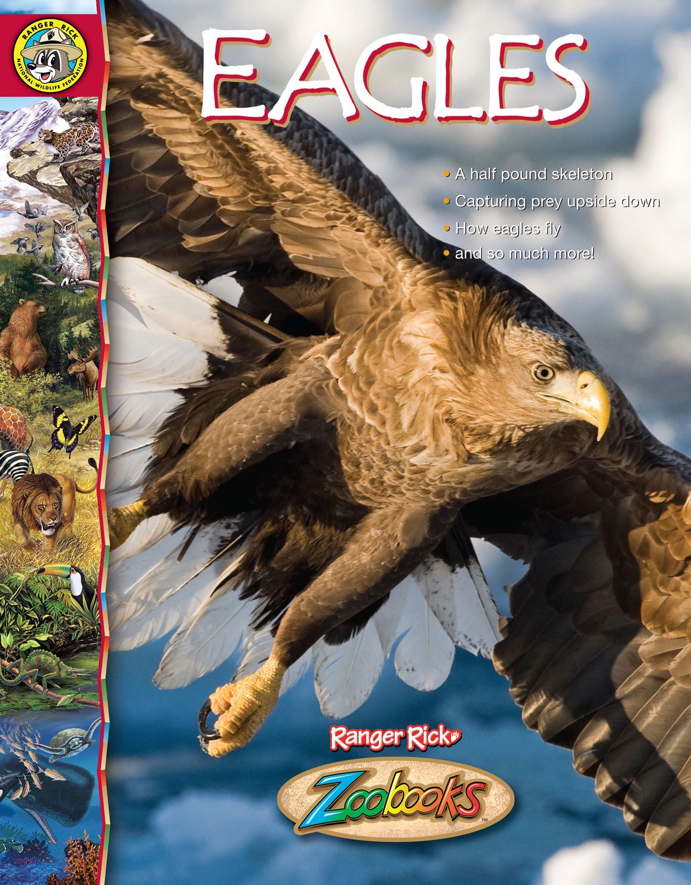 Eagles