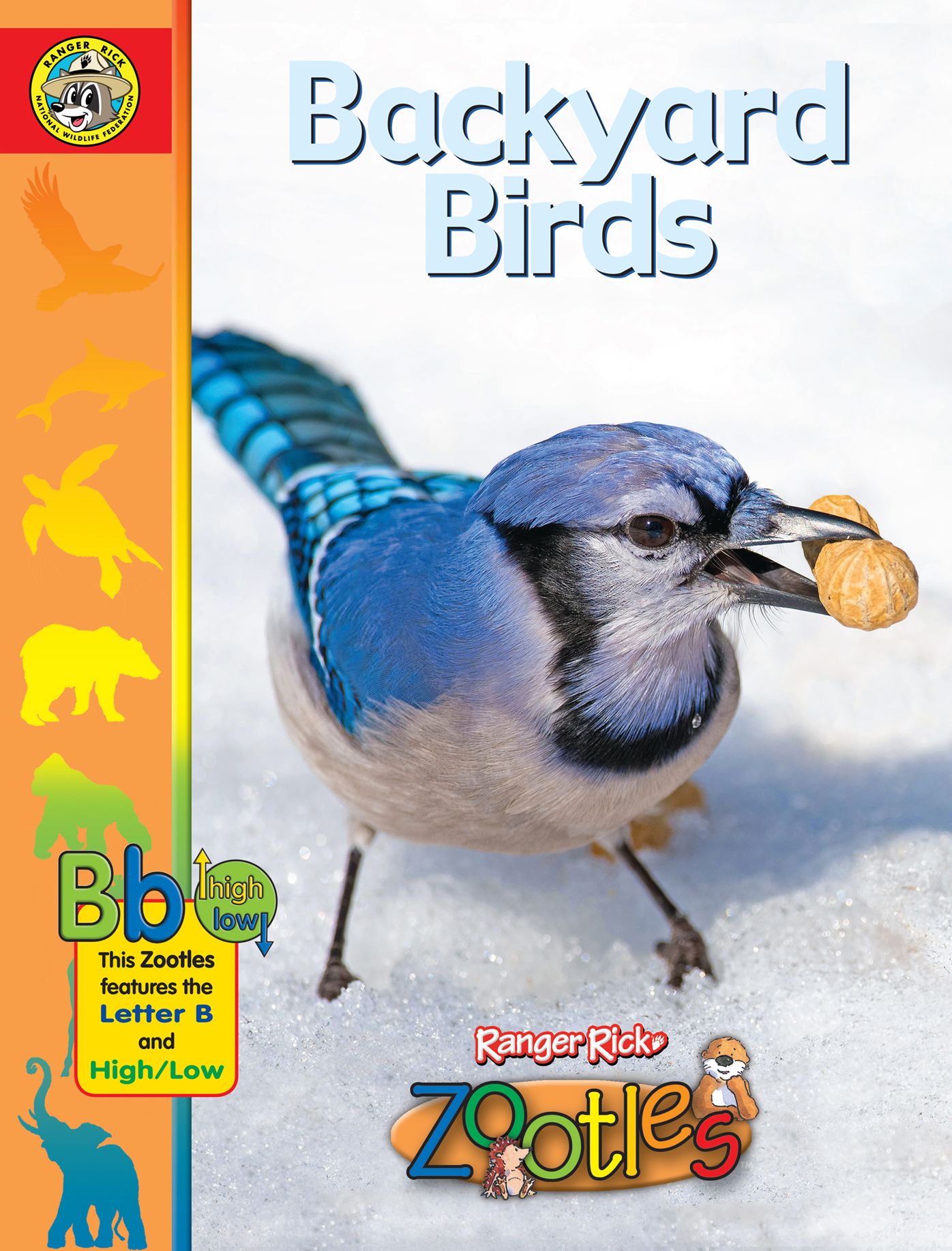 Backyard Birds