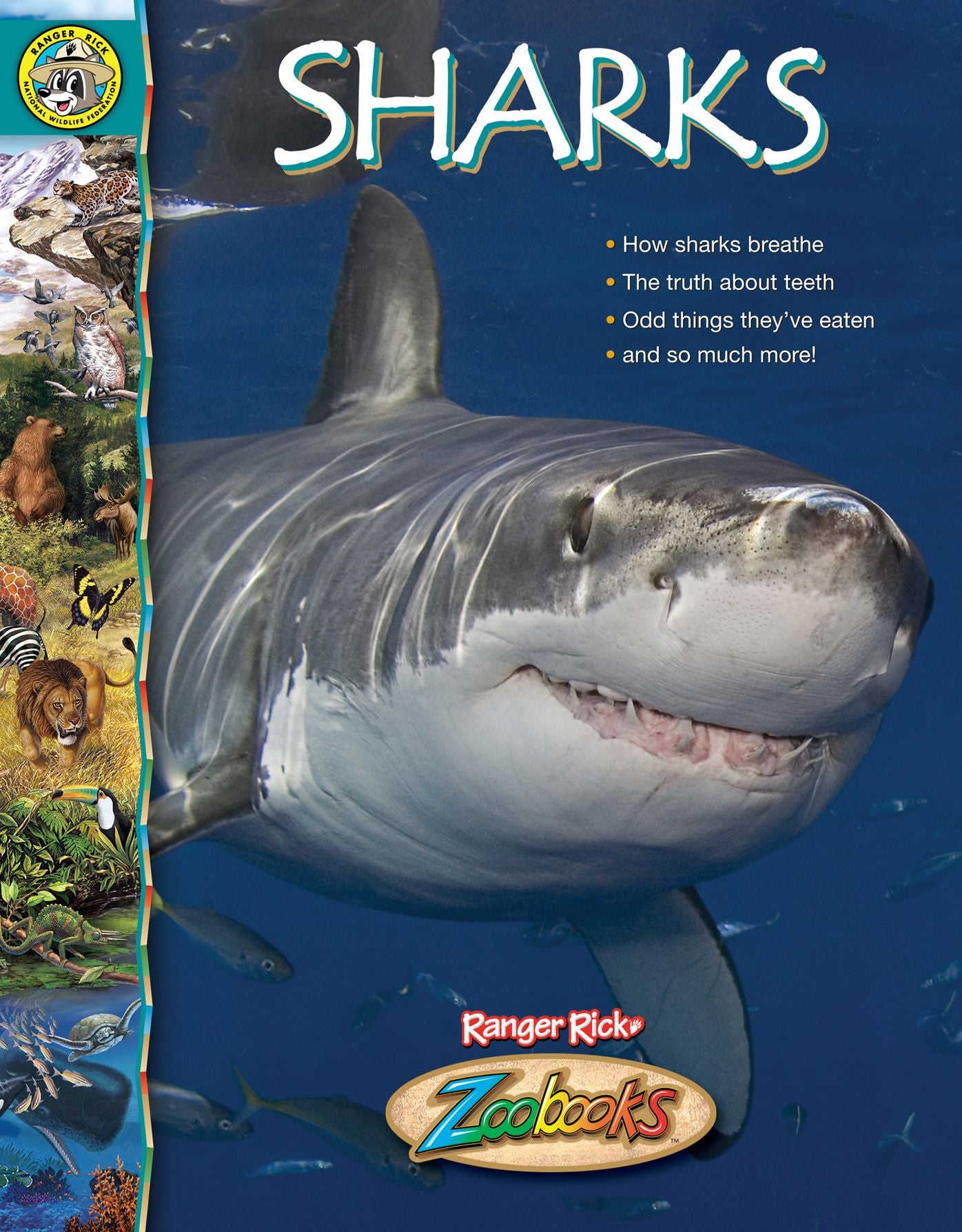 Sharks