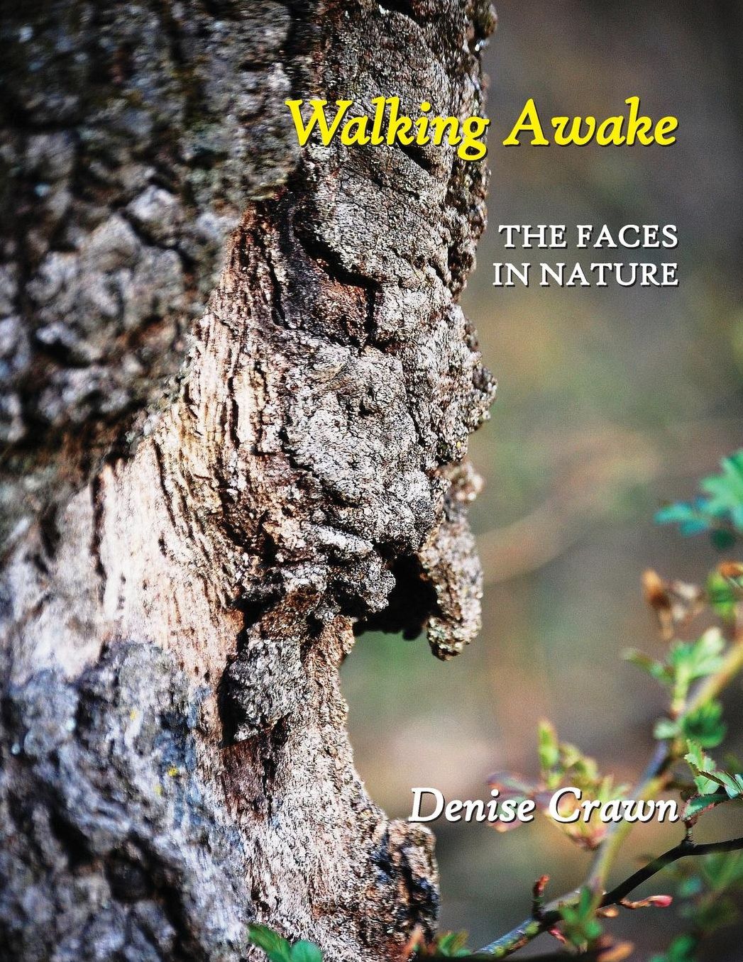 Walking Awake: The Faces in Nature
