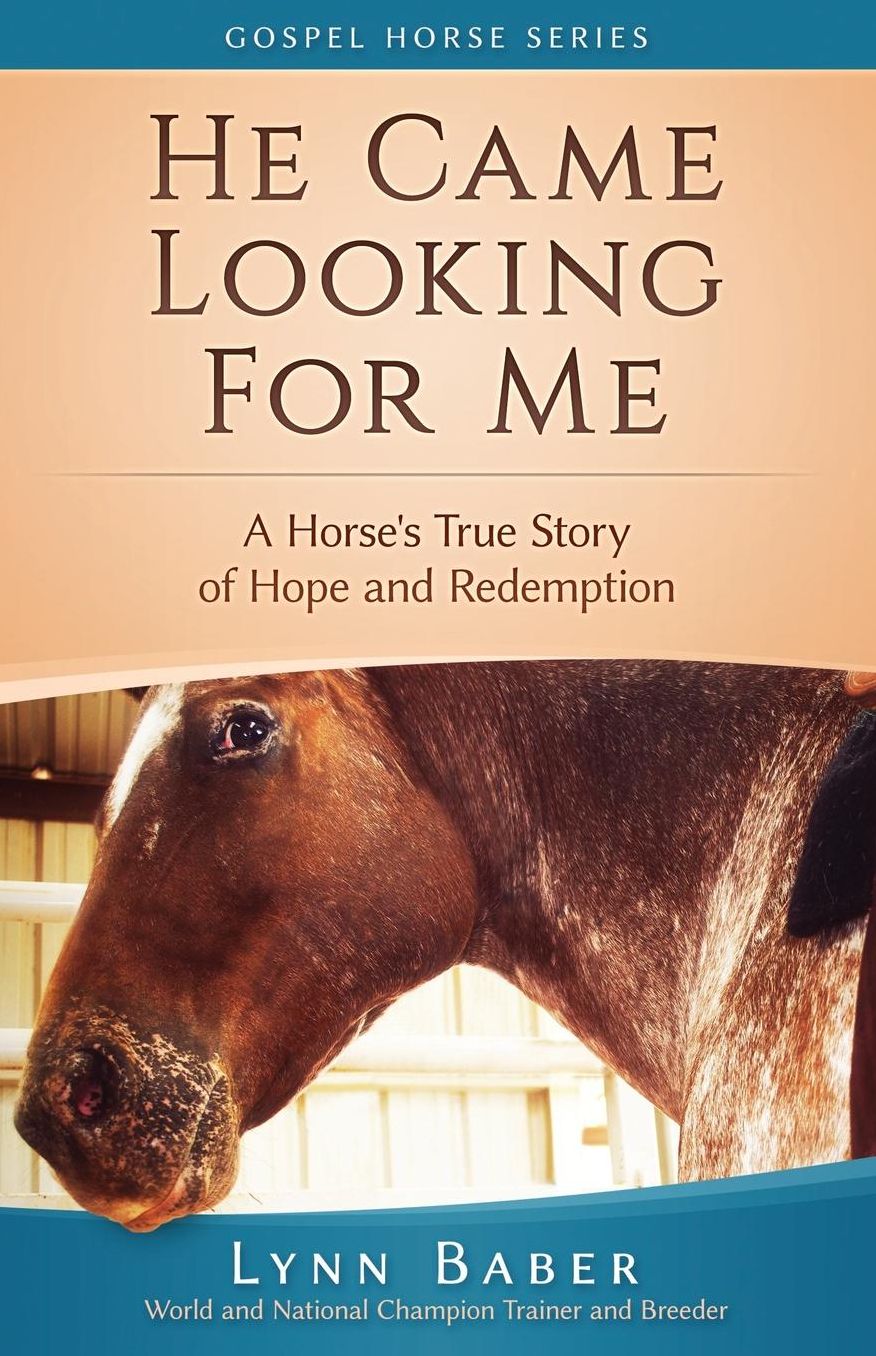 He Came Looking for Me: A true story of hope and redemption