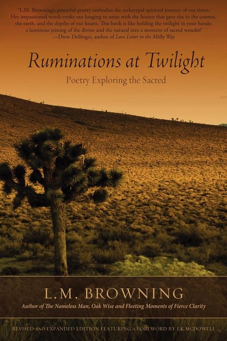 Ruminations at Twilight
