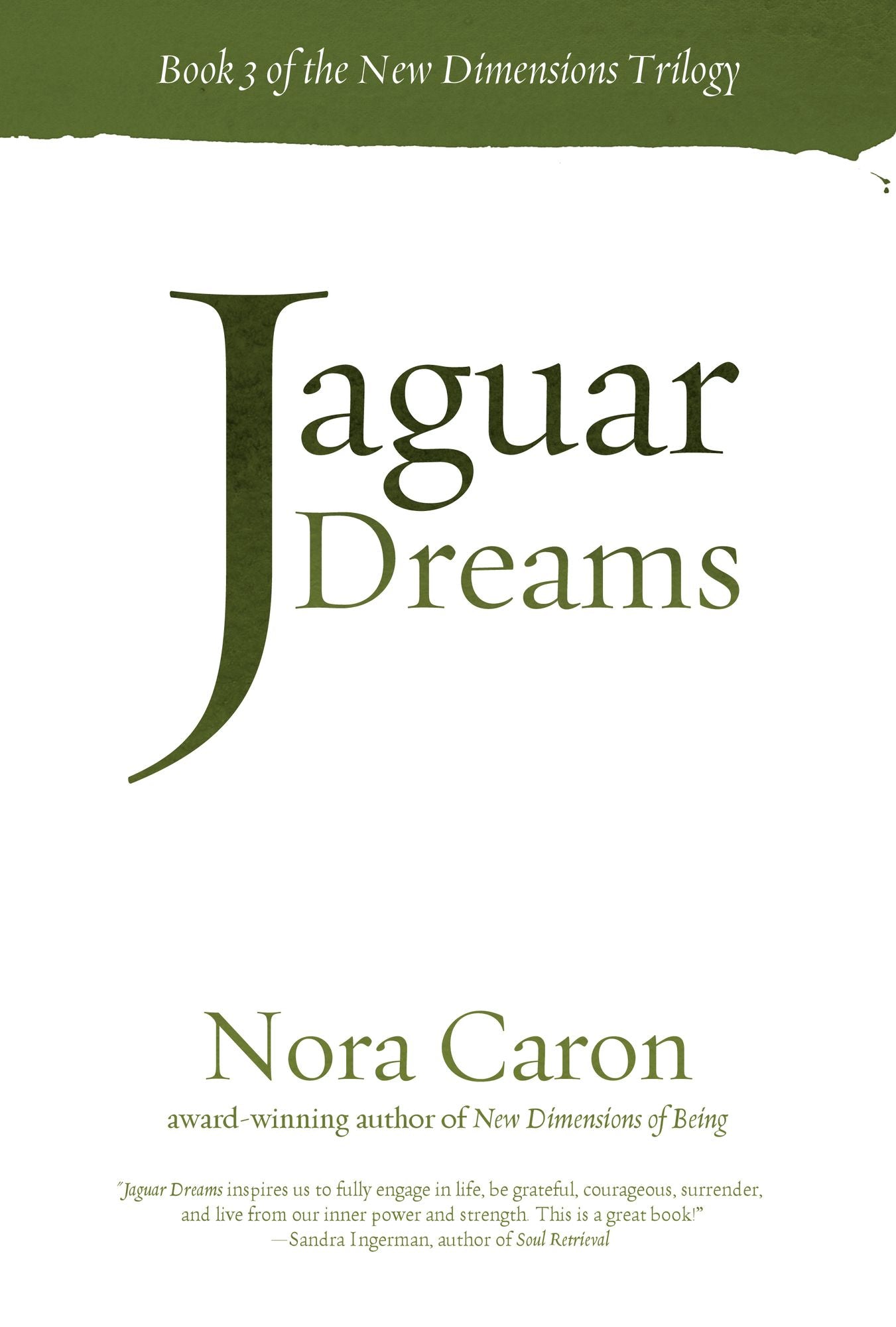 Jaguar Dreams: Book 3 in the New Dimensions Trilogy