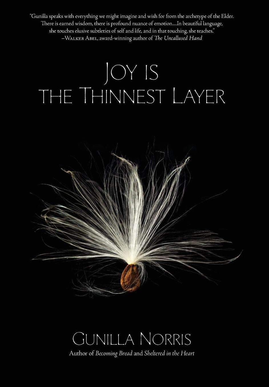 Joy is the Thinnest Layer