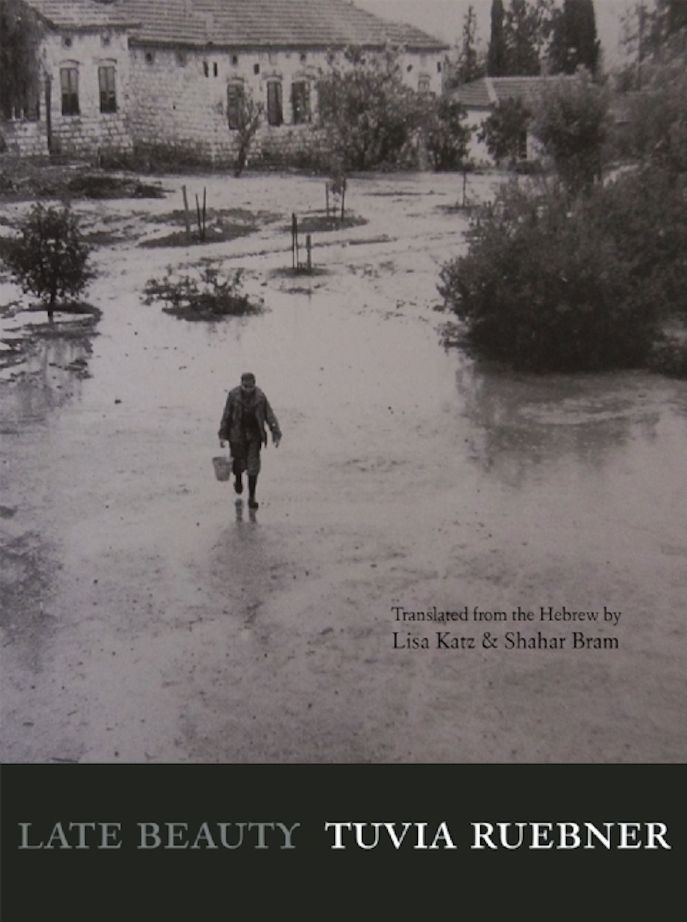 Late Beauty: Poems by Tuvia Ruebner