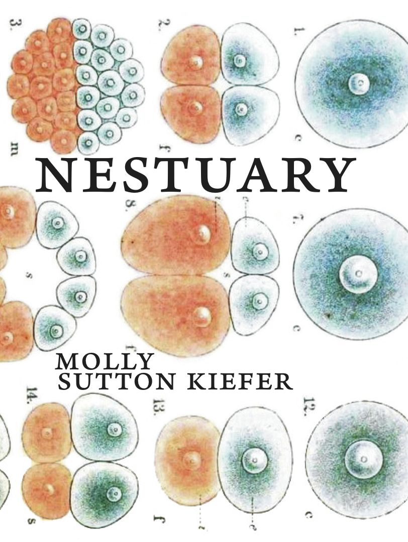 Nestuary