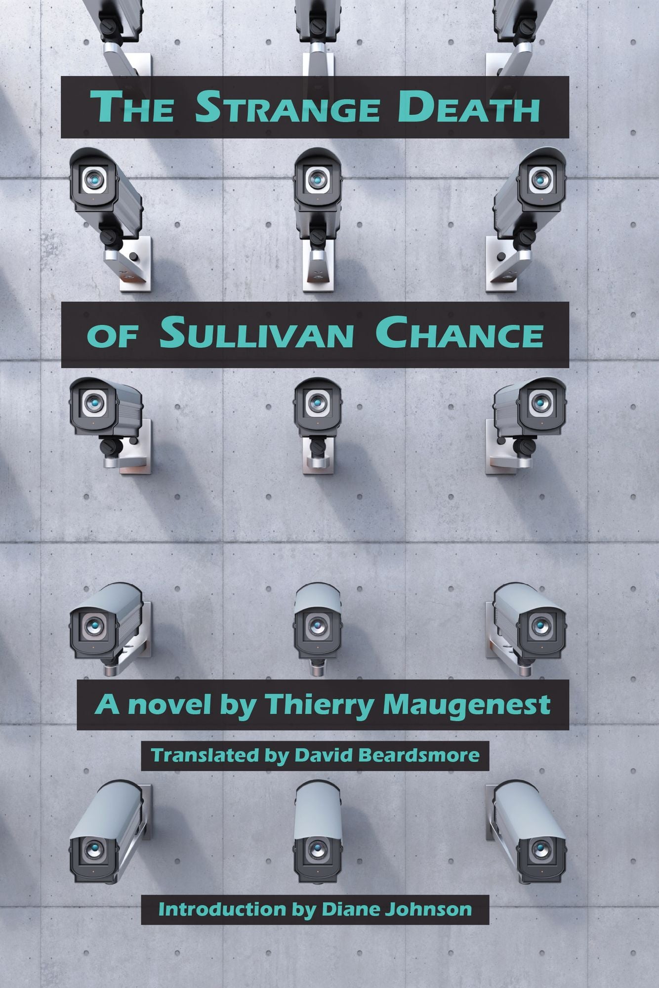The Strange Death of Sullivan Chance: A novel about a boy and his nipples