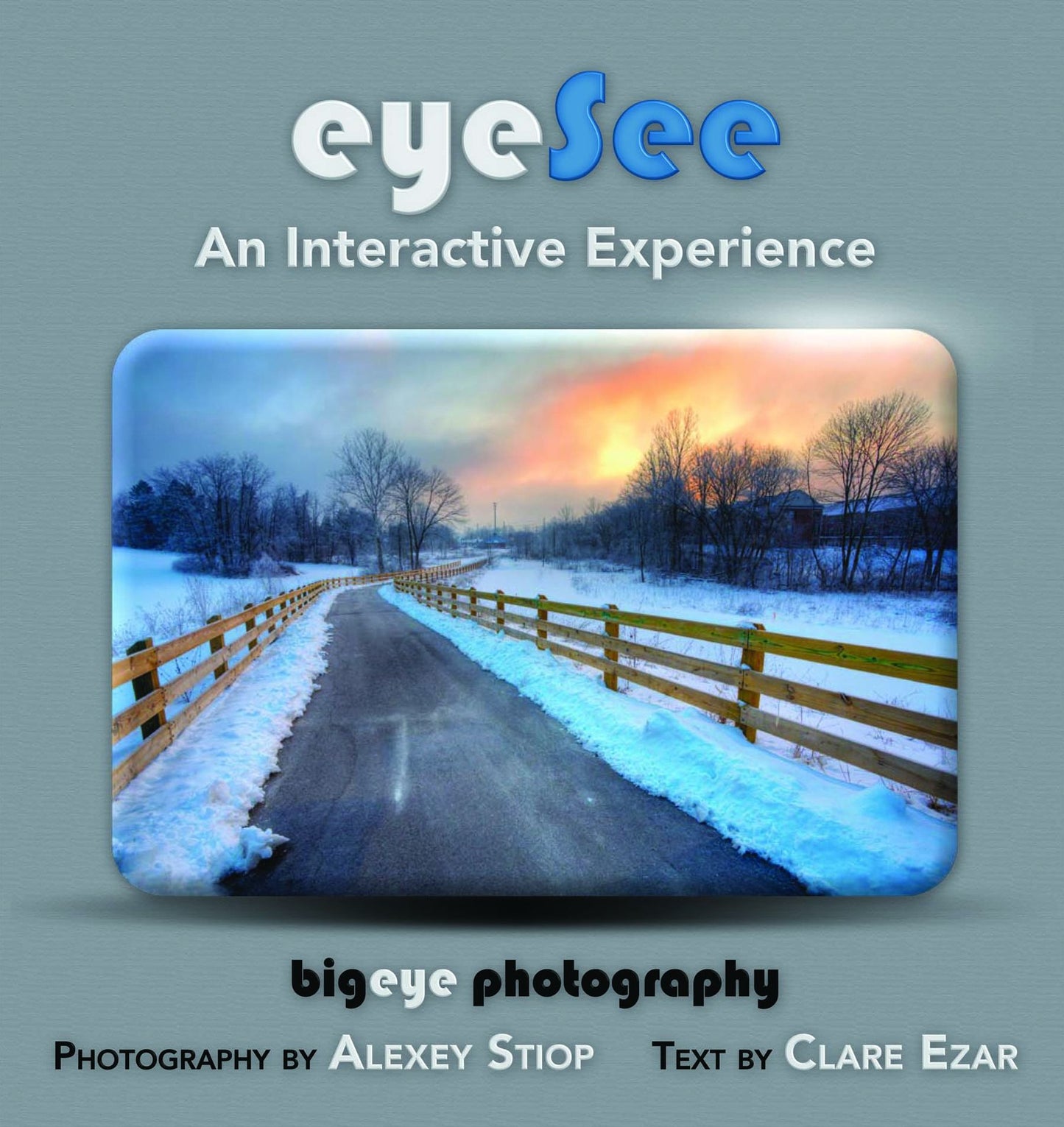 eyeSee: An Interactive Experience