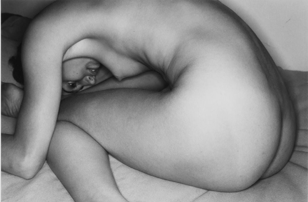 Lee Friedlander The Nudes: A Second Look