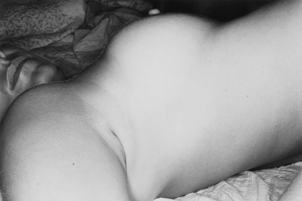 Lee Friedlander The Nudes: A Second Look