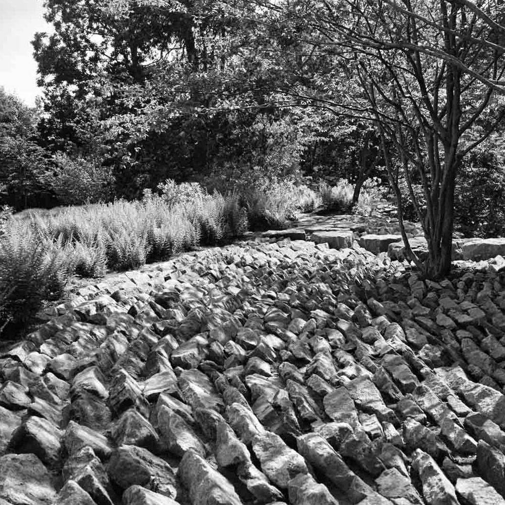 Visible Invisible: Landscape Works of Reed Hilderbrand