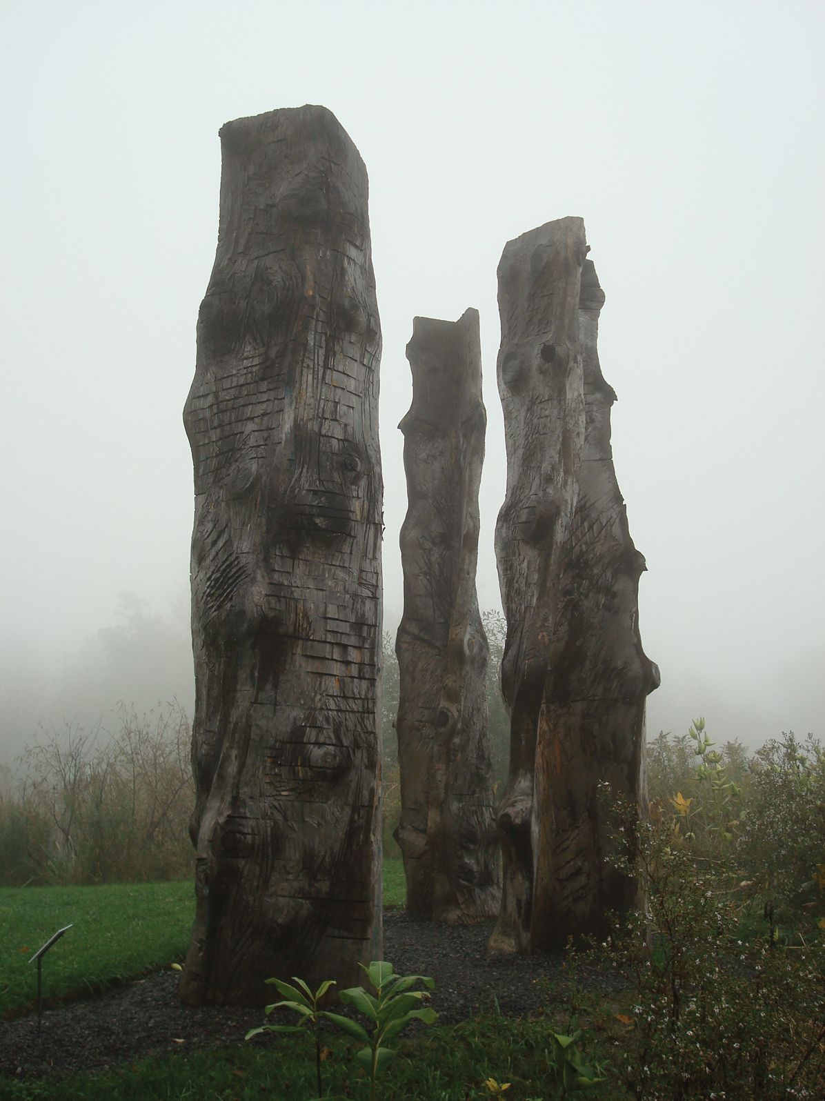Emilie Brzezinski: The Lure of the Forest