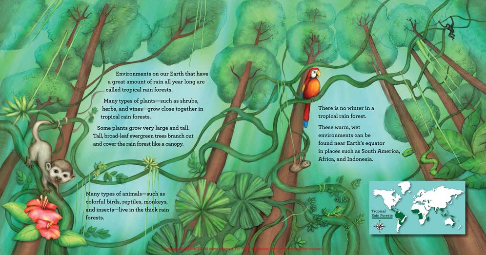 Environments of Our Earth