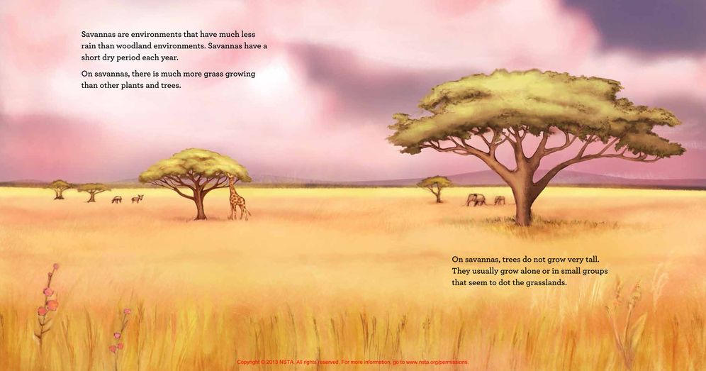 Environments of Our Earth