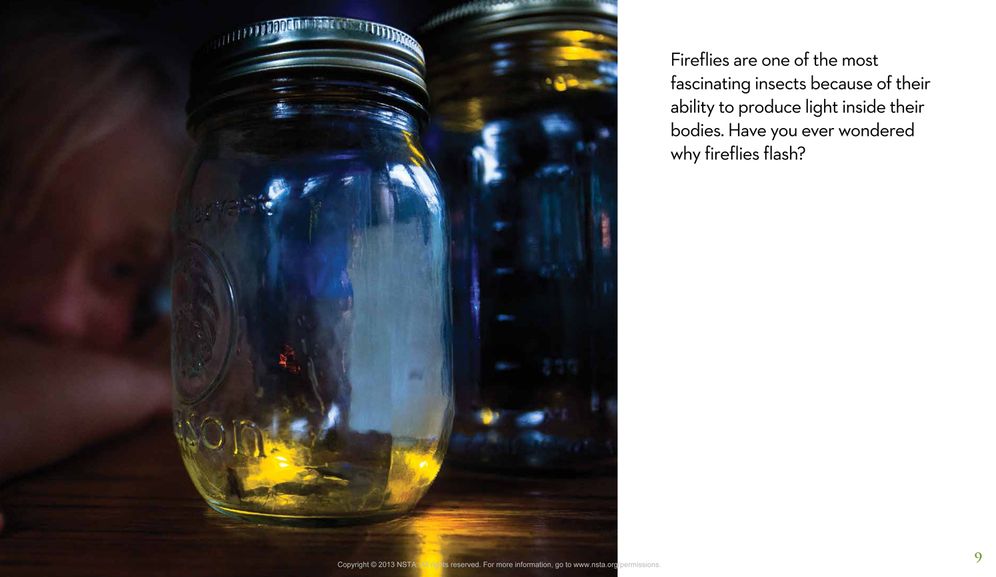 Next Time You See a Firefly
