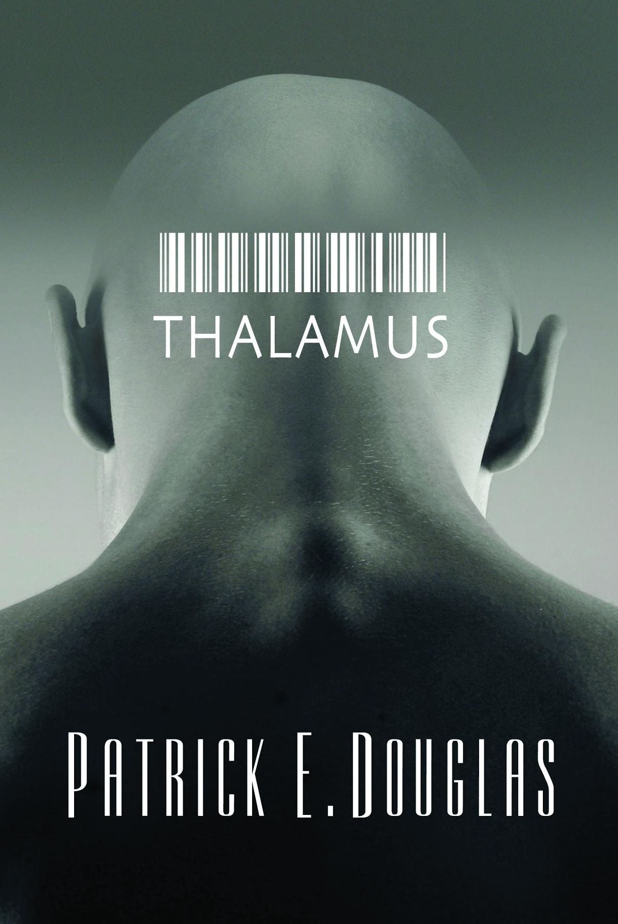 Thalamus