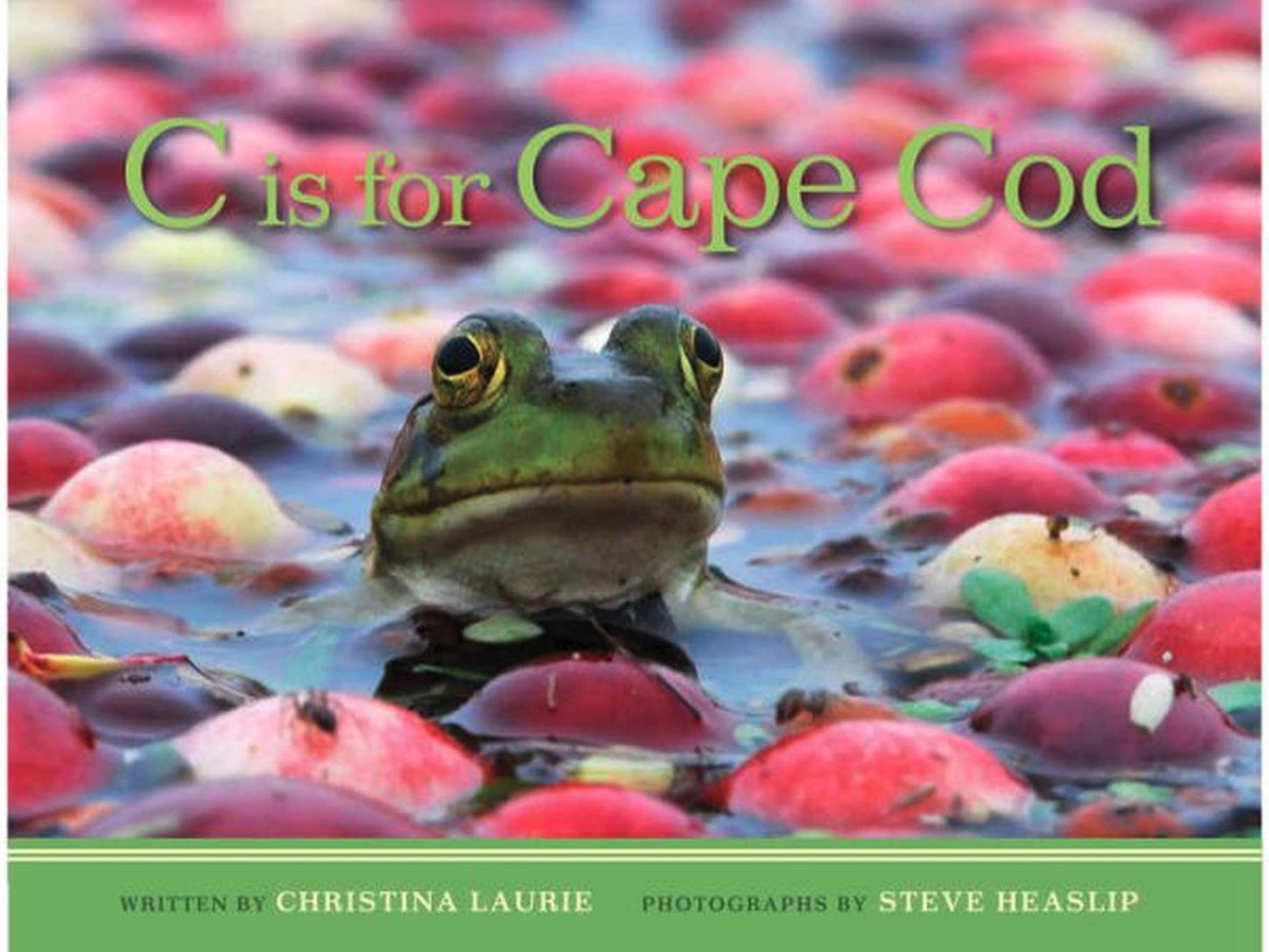 C is for Cape Cod
