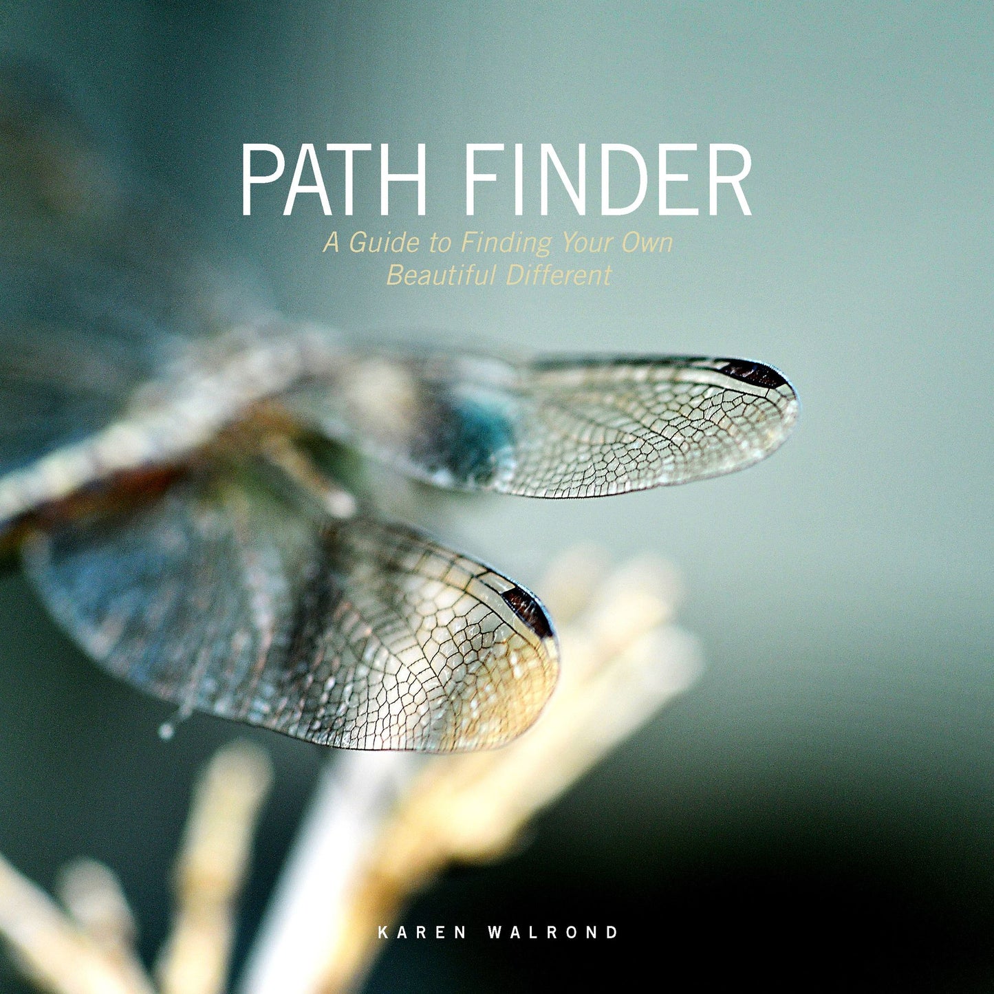 Pathfinder