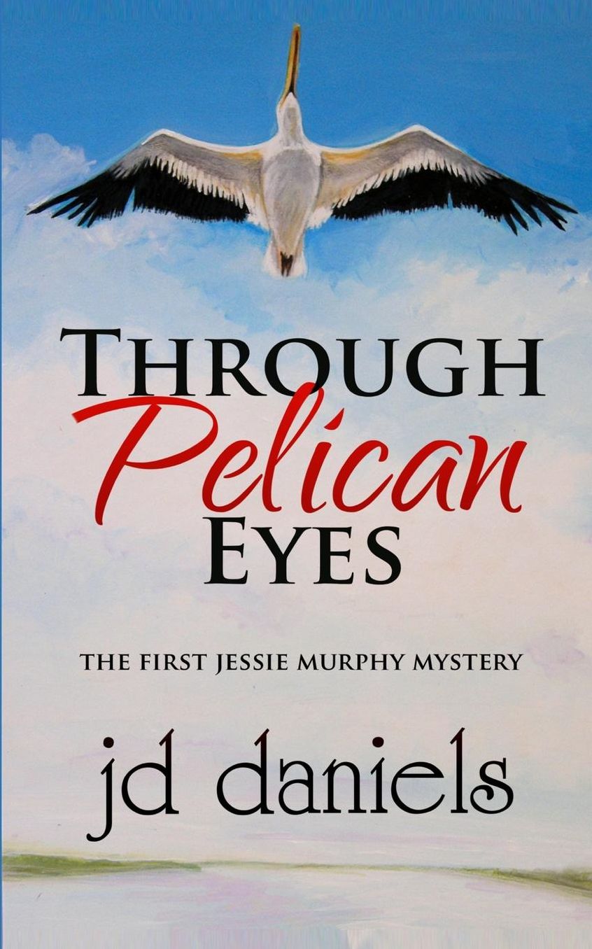 Through Pelican Eyes