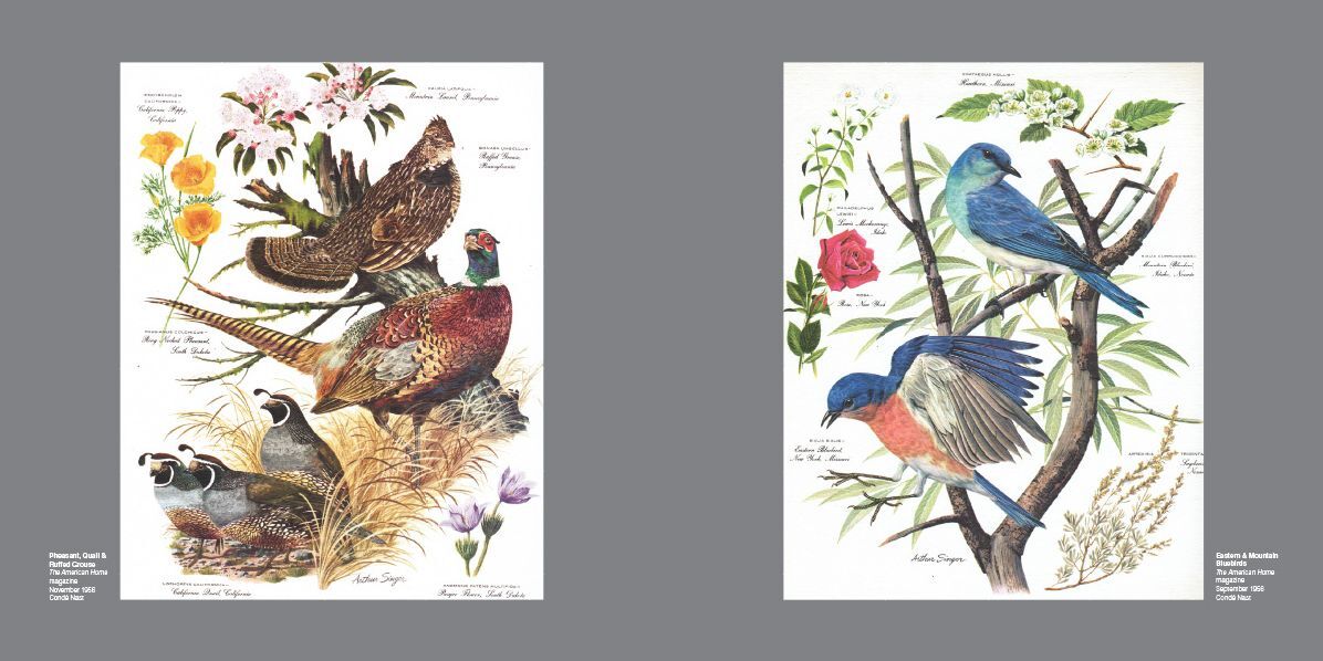Arthur Singer: The Wildlife Art of an American Master