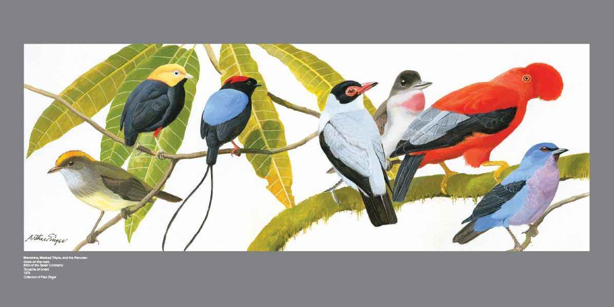 Arthur Singer: The Wildlife Art of an American Master