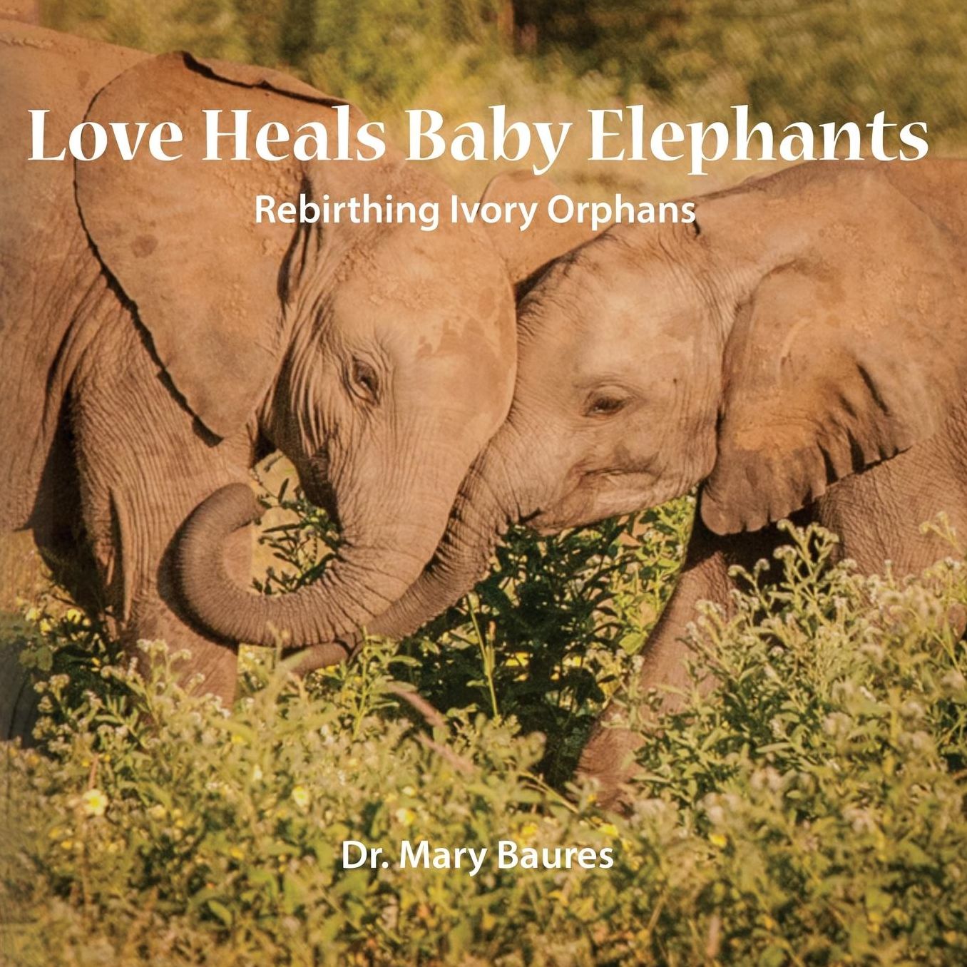 Love Heals Baby Elephants; Rebirthing Ivory Orphans
