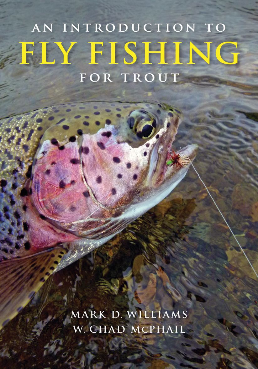 An Introduction to Fly Fishing for Trout