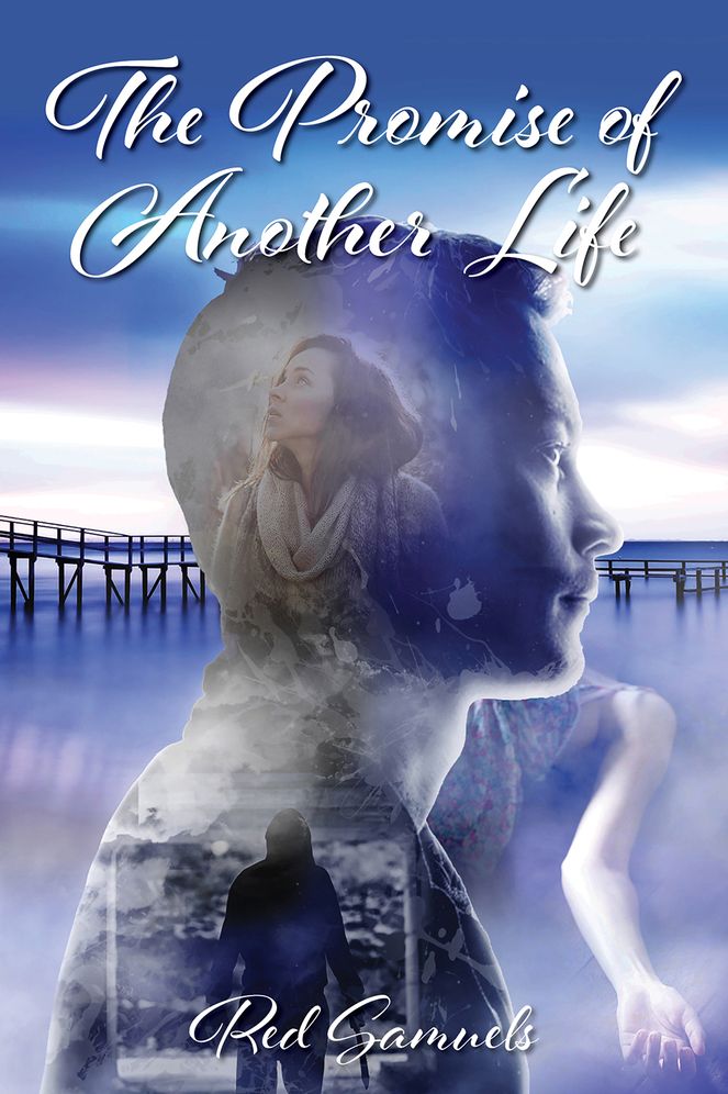 Promise Of Another Life: A Novel