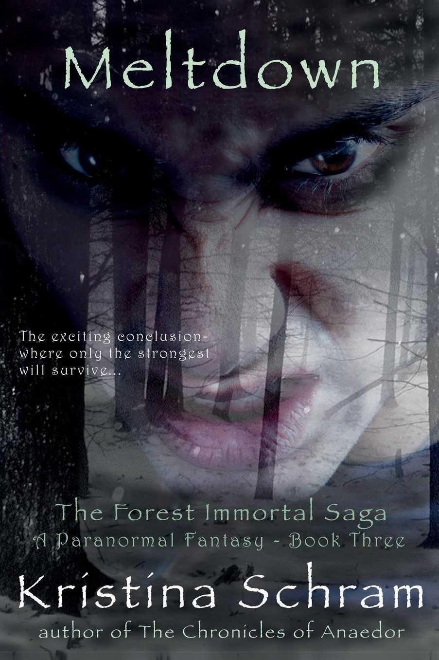 Meltdown: A Paranormal Fantasy (Book Three): The Forest Immortal Saga